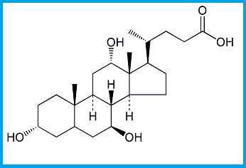 CHENODEOXYCHOLIC ACID EP IMPURITY D